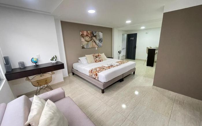 H102-Apartaestudio loft en la Castellana Norte