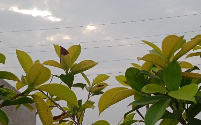 Yogam Homestay Agra