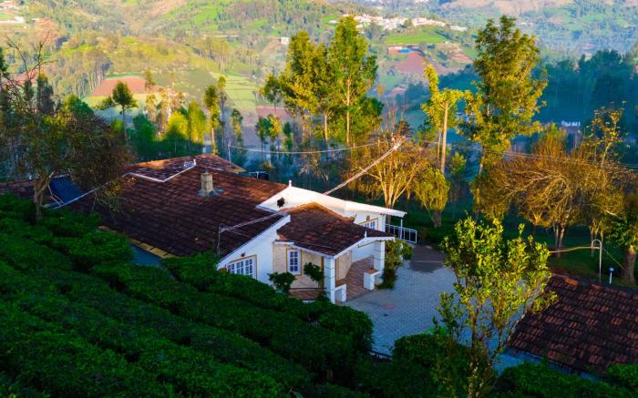Silver Dale Tea Estate Bungalow Ooty by VOYE HOMES