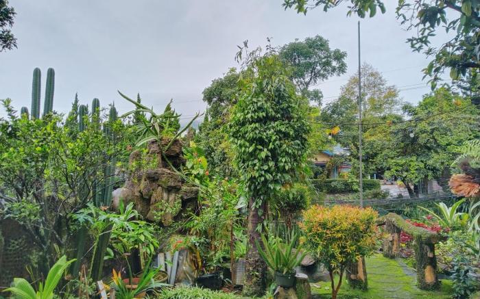 Homestay Pall Inn