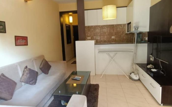 Lavish 1 Bedroom Apartment With Pool/Backup