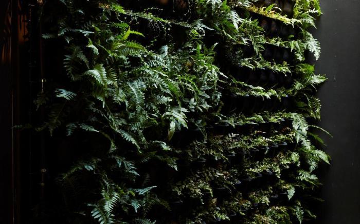 Moss Hotel