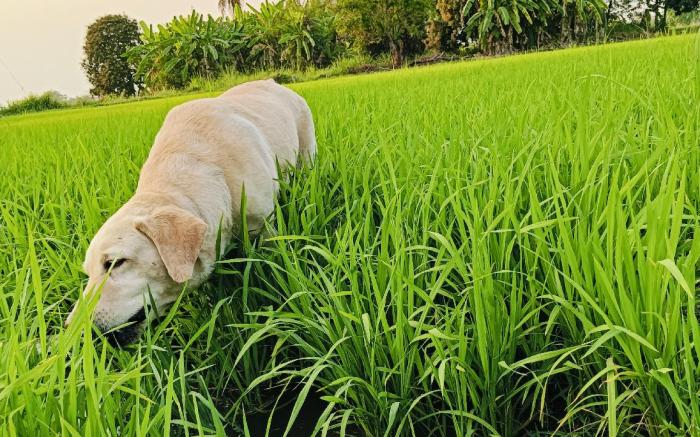 TAHealingSpace ❣️