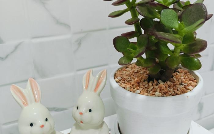 TAHealingSpace ❣️