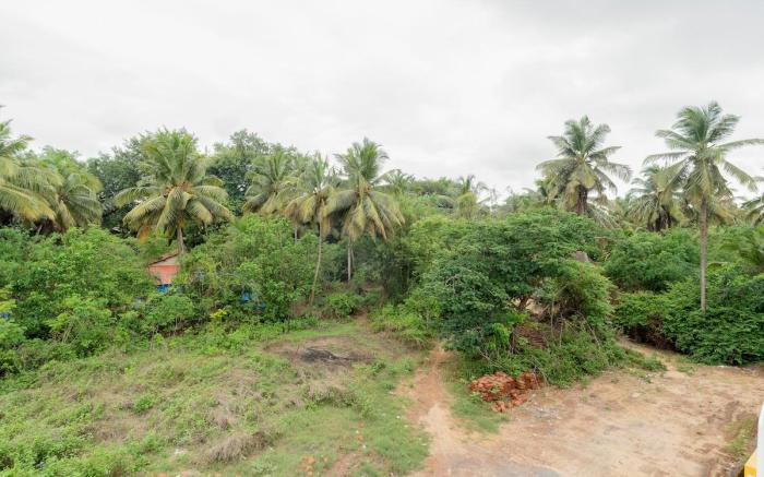 Azure - 2 BHK | 1 km to Benaulim