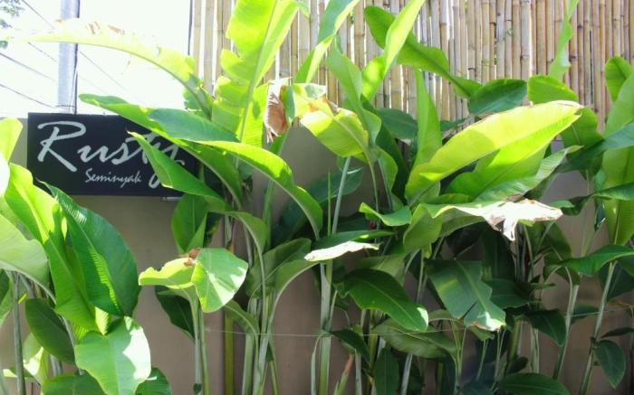 Rusty Seminyak