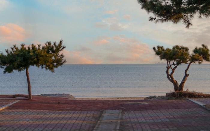 Taean Maumsokui Jip  Pension