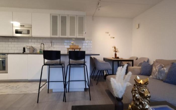 Penthouse in Oslo Central
