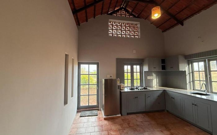 Ficus by Kilukka Farms