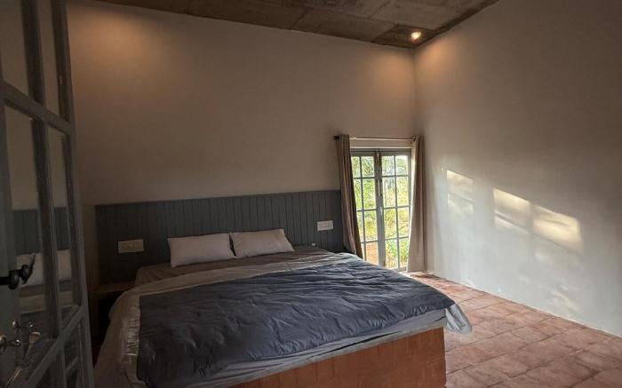 Ficus by Kilukka Farms