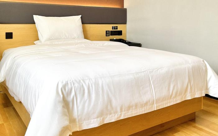 IU Hotel Shenzhen Longhua Metro Station