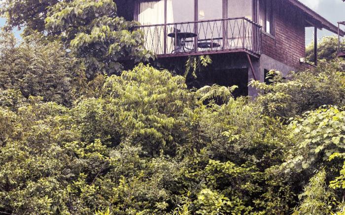 Taalish - A Boutique Resort