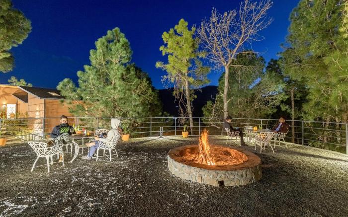 Vintage Premium Cottages||Mountain view near Solan