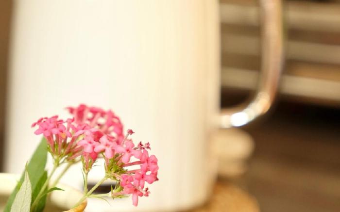 Turtle Point Homestay- Sea view- Free Breakfast