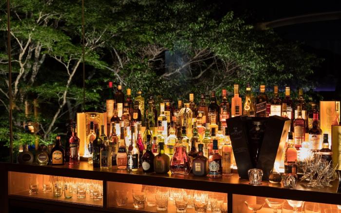 Bar Hotel Hakone Kazan