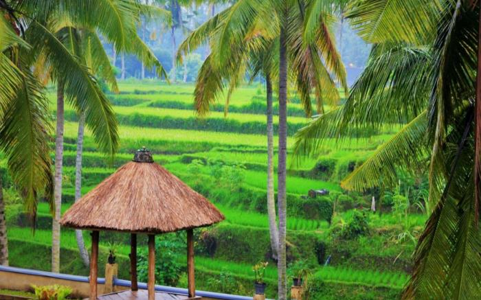 Junjungan Suite Villa