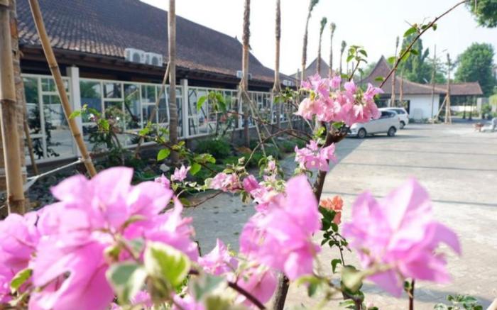 ATAYA HOTEL