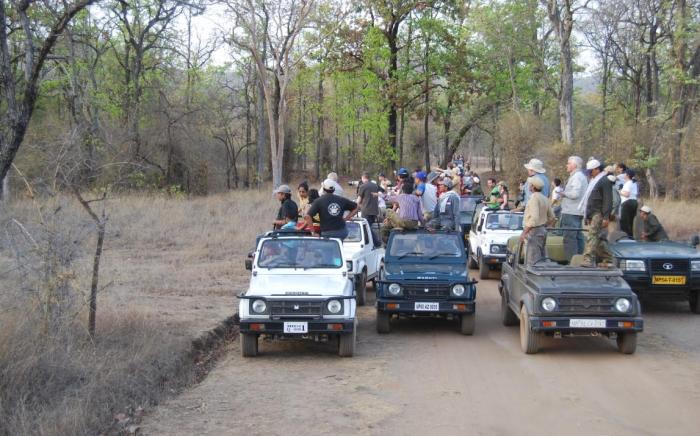 Palash kothi  bandhavgarh