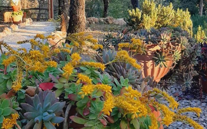 Agriturismo e glamping Serraiola Alta