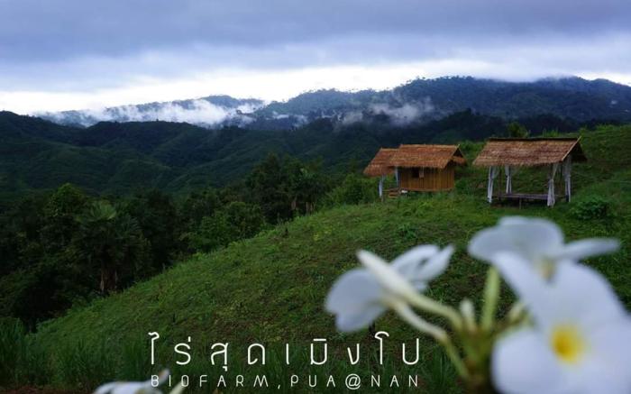 Room 1 - Rai Sud Meung Po Bio Farm