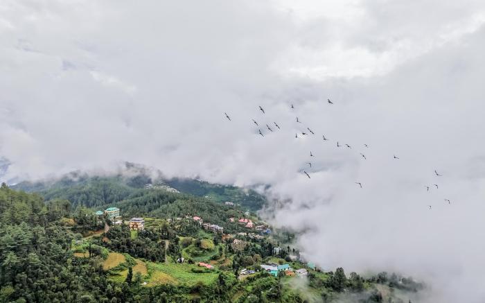 Hotel Himalayan Escape