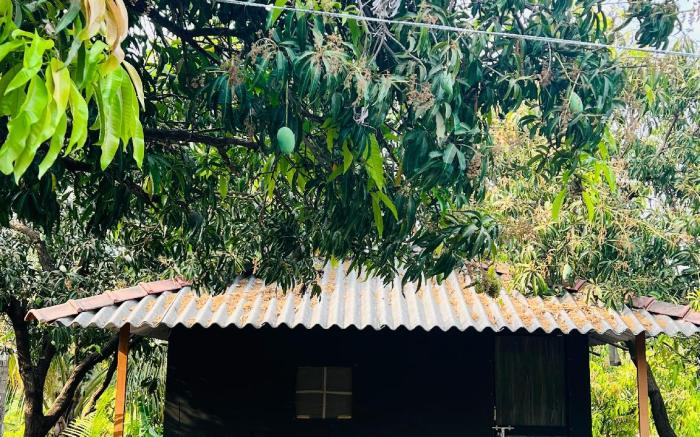 Krishna Farm House And Resort Sasan Gir
