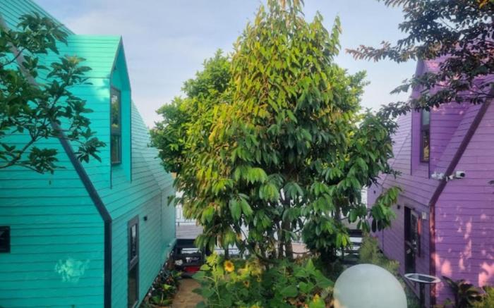 Hồ Mây Homestay Bảo Lộc