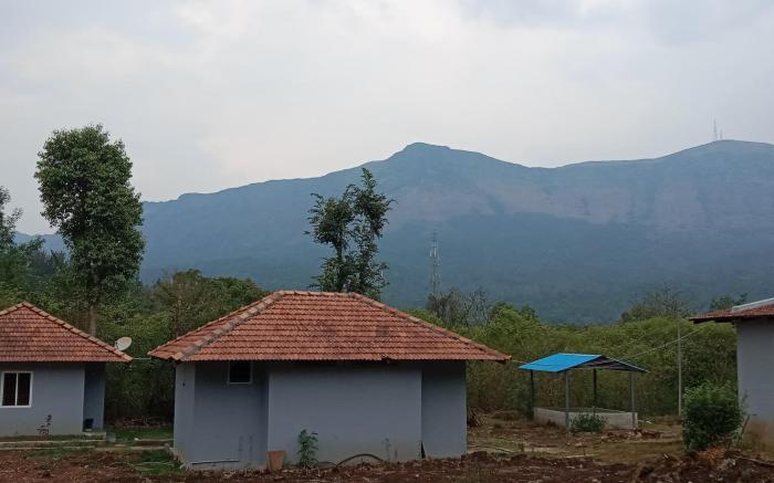 Coffee Cozy Homestay
