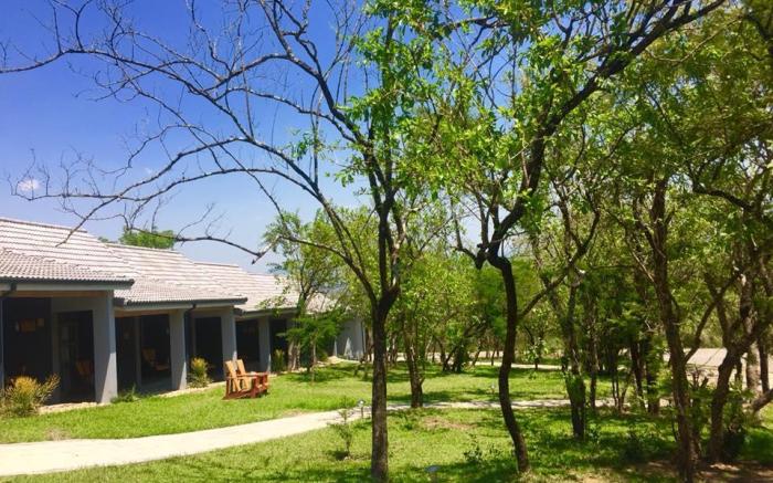 Bushbaby Lodge @ Nkonyeni