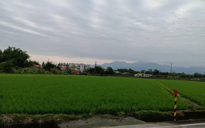 Yílán宜蘭市背包客單人床!
