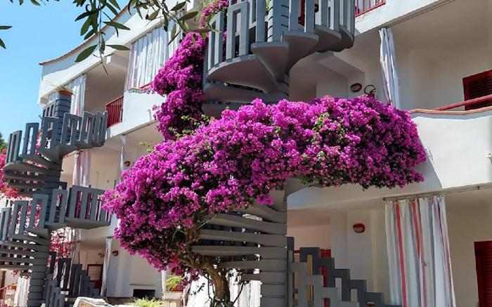Residence Jolly