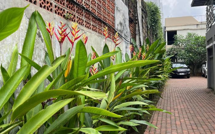 Banuwa  Coliving