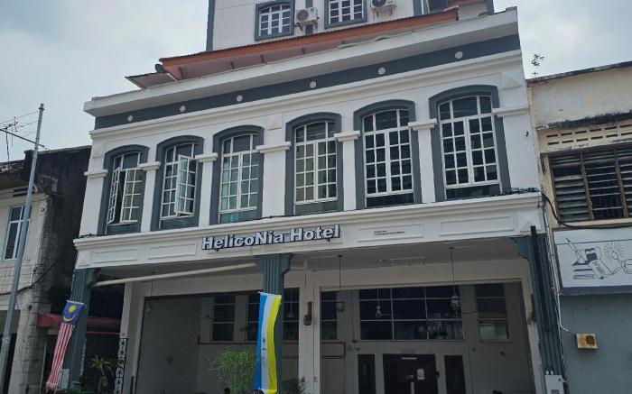 Heliconia by Treebridge