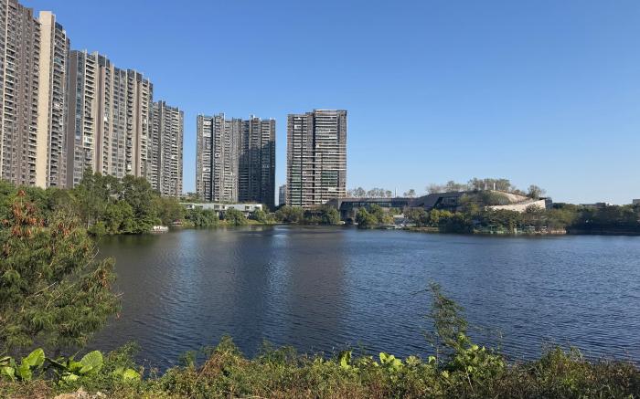 大湾区面朝大海房