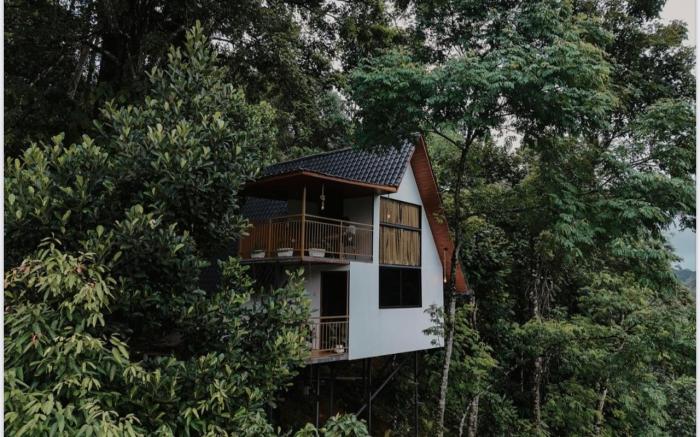 Wild Stories By Bestinn Leisure - Munnar
