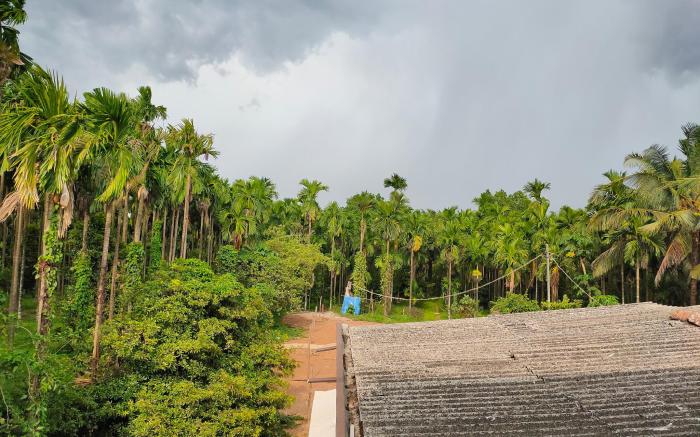 Silent River Homestay 