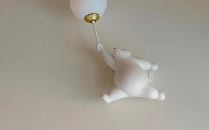 Polar Bear B&B