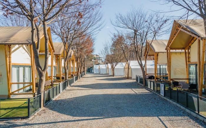 Jat Hyanggi Pureun Forest Campground