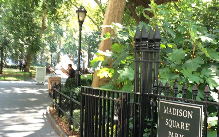 Salute de Madison Park Apartments