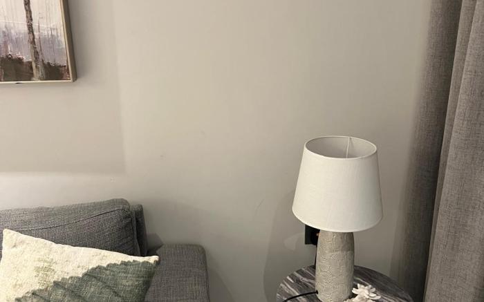 12 Room Apartment and Luxury Lounge [Penthouse]