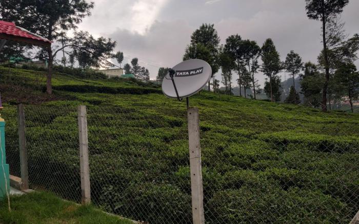 green pleasant stay