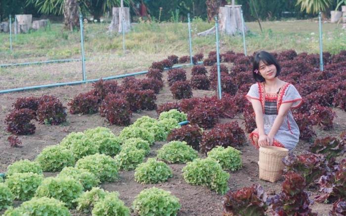 Nai Khun Khao Resort