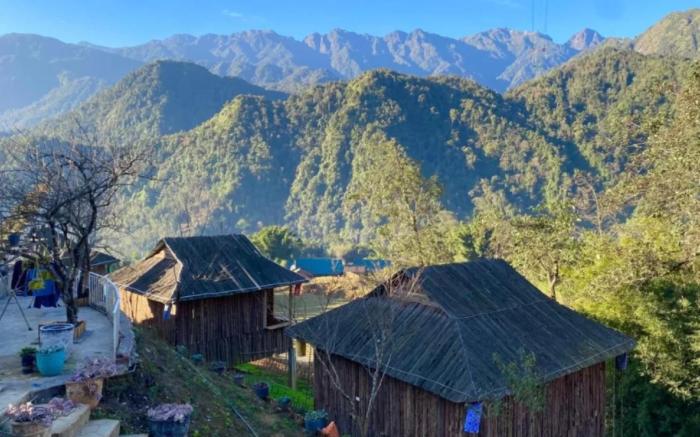 Forest Hill Homestay Sapa