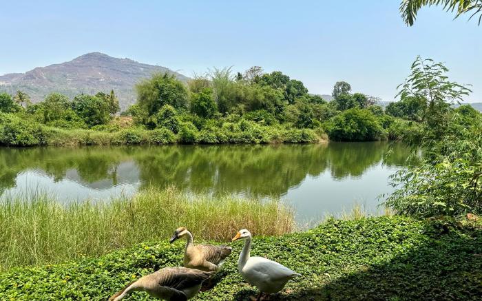 Jal Sparsh Resort Mulshi by Vibescapes 