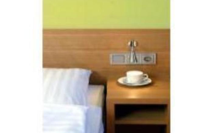 Business and Budget Hotel Tessin