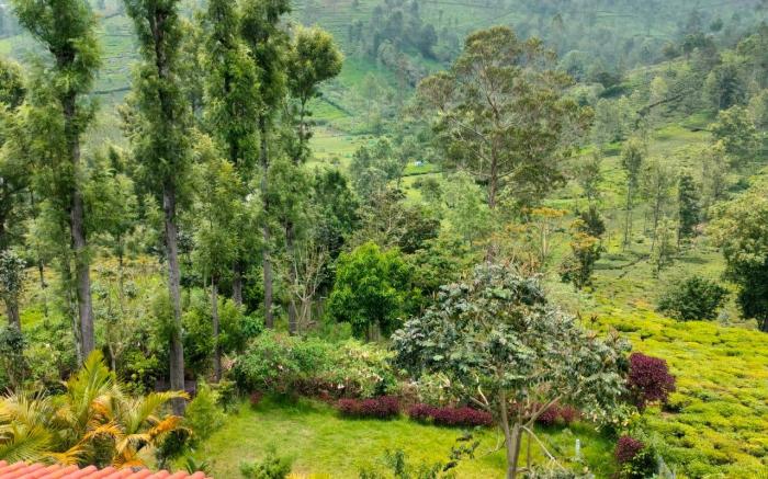 Nest Valley Kotagiri 