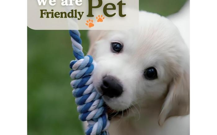 Olive Service Apartments - Green Park