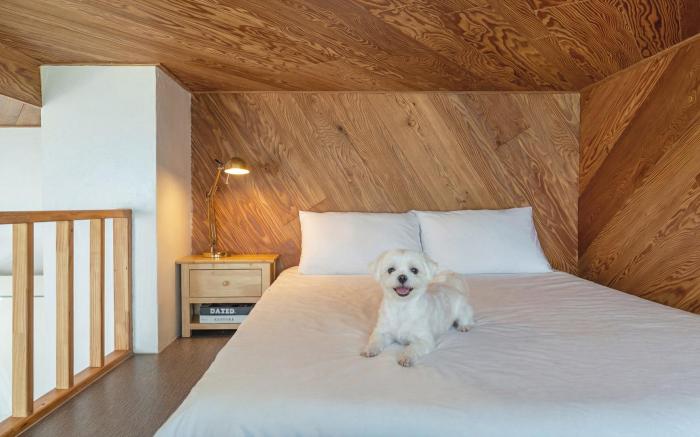 Capella Oceanview Spa Resort – Goseong