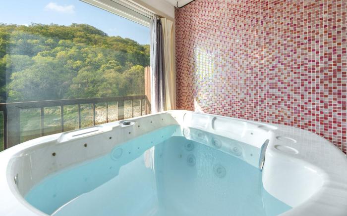 Gapeong Eoneunal Spa Pet Pension