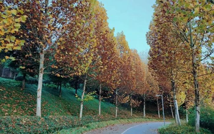 IU hotel Chongqing Liangjiang Shuitu Xincheng Siyuan light railway station